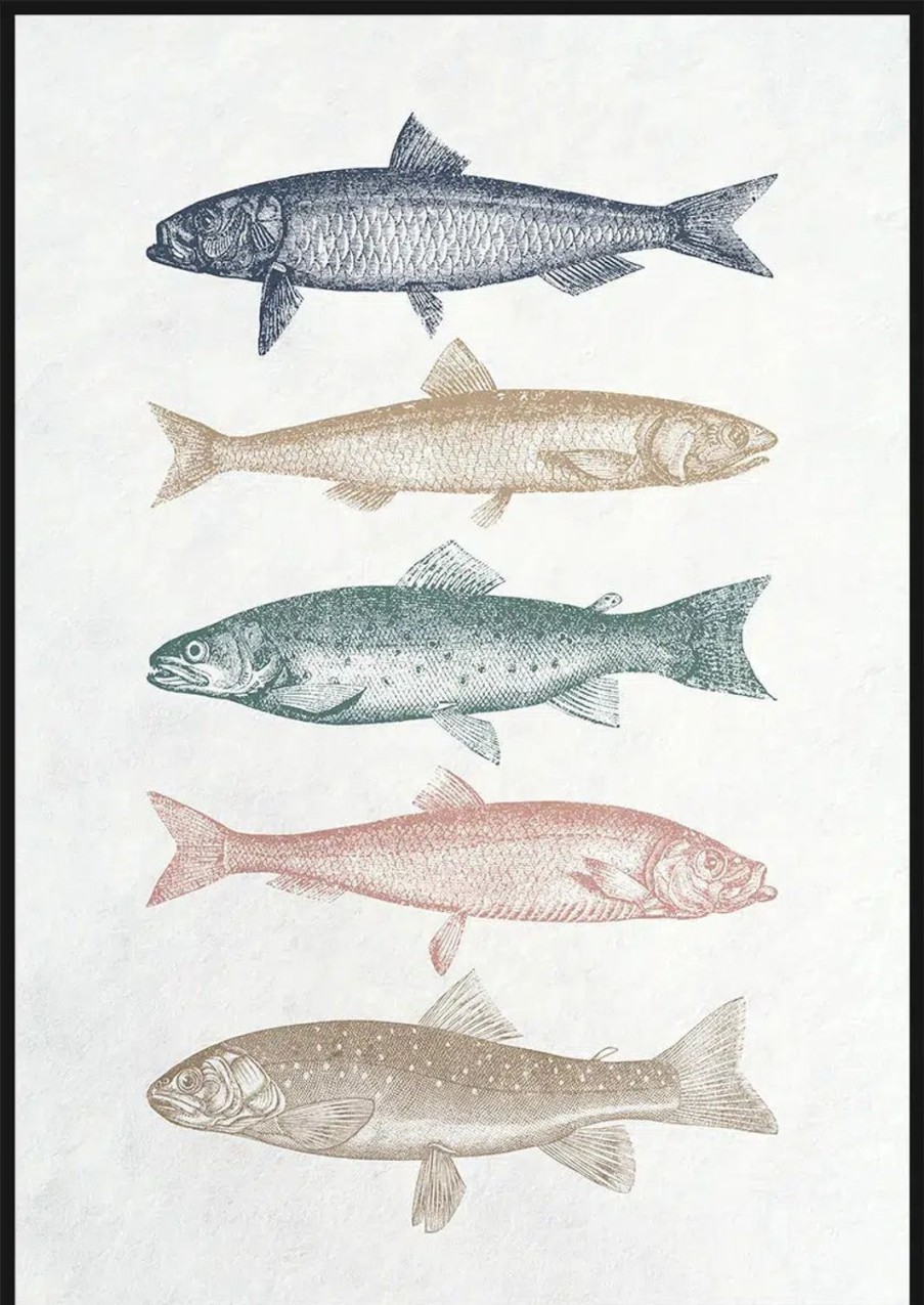 Wall Decor | Rayell Framed Canvas Artwork - Assorted Fish