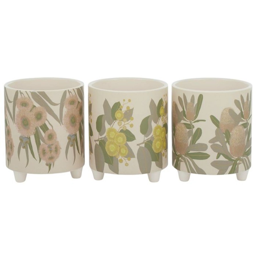 Pots, Planters & Vases | Coast To Coast Home Gibbs Ceramic Pots