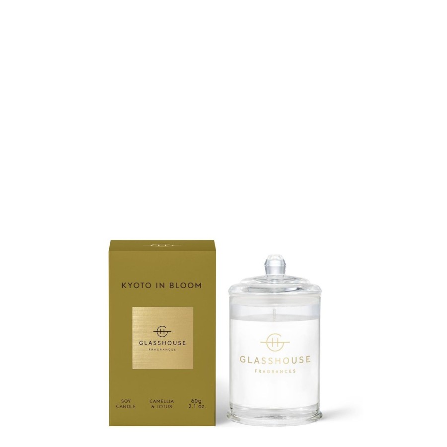 Candles & Fragrance | Glasshouse 60G Soy Candle - Asst Fragrances