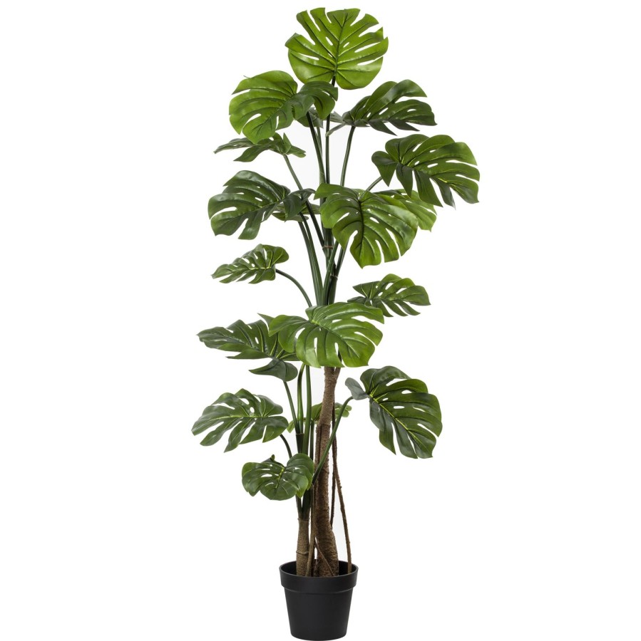 Decor Items | Rogue Home Monstera Vine Plant 150Cm