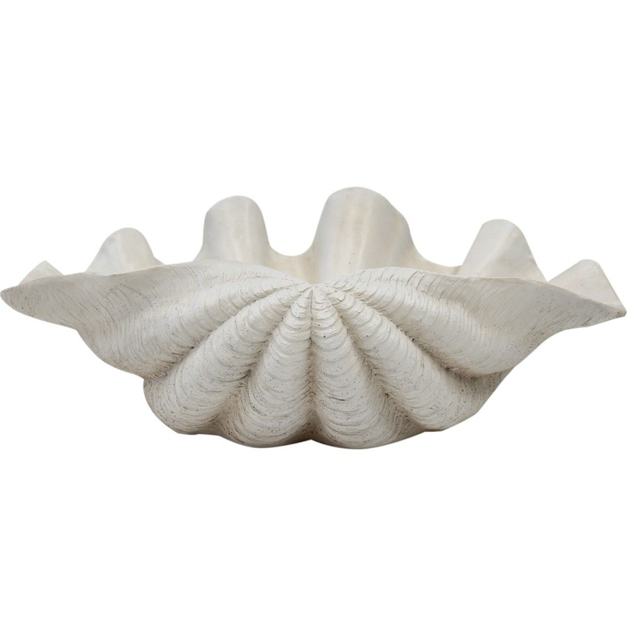 Decor Items | Lavida Clam Shell - Extra Large