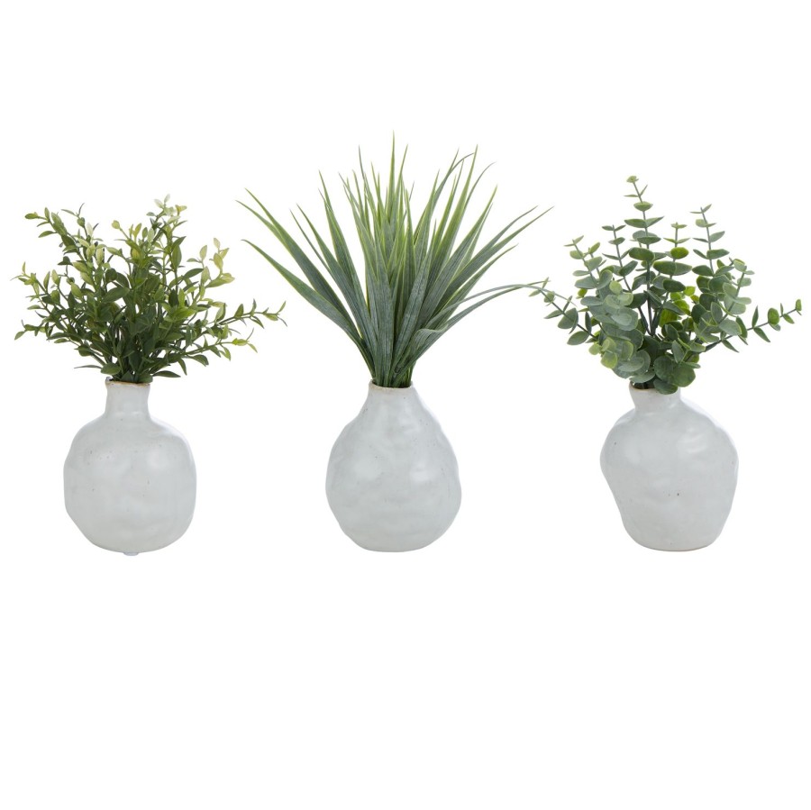 Decor Items | Rogue Home Pacey Vessel With Plant