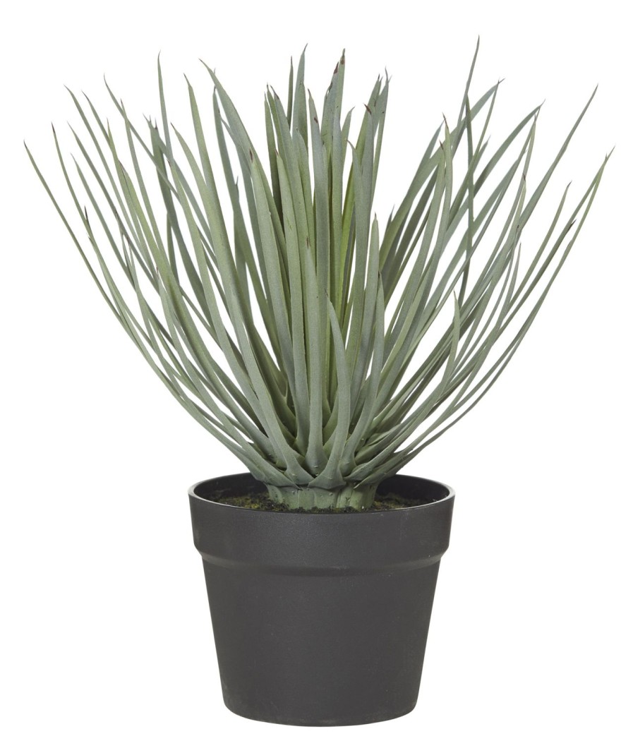 Decor Items | Rogue Home Spikey Grass Garden Pot