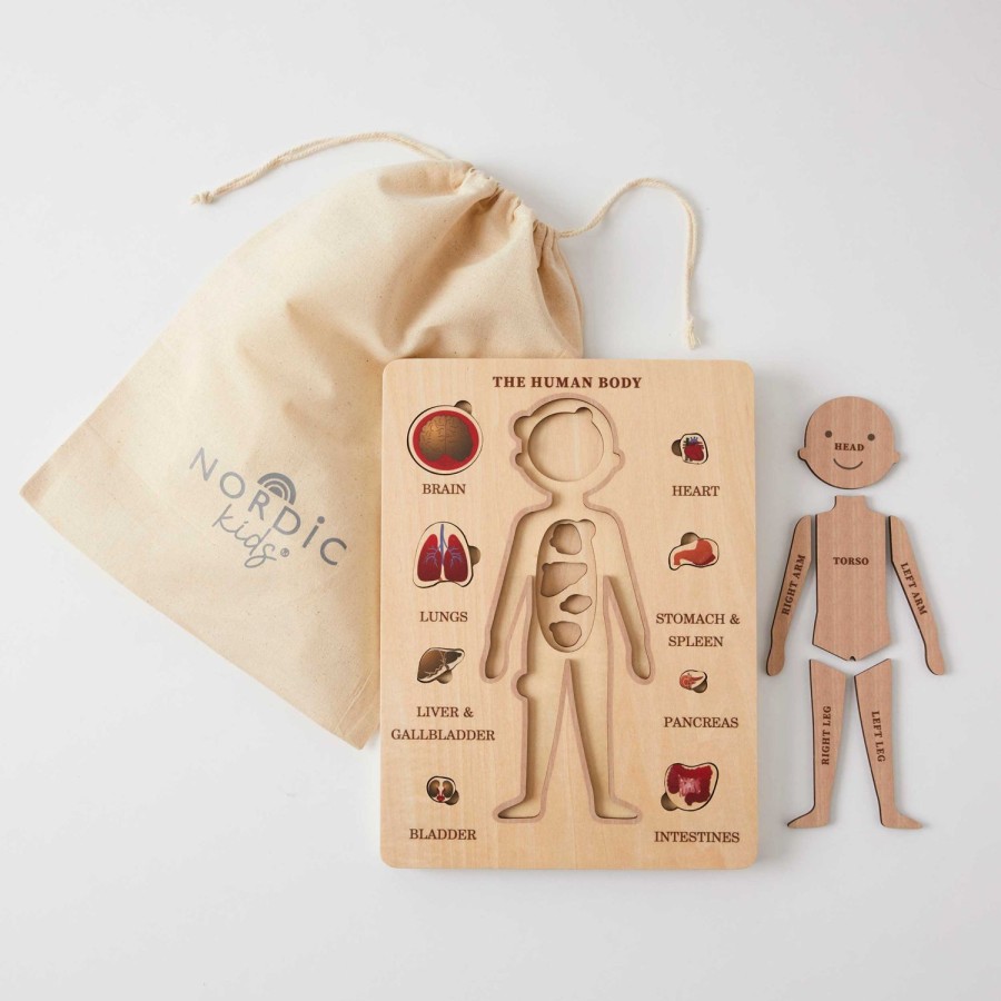 Toys | Pilbeam Living Human Body Puzzle