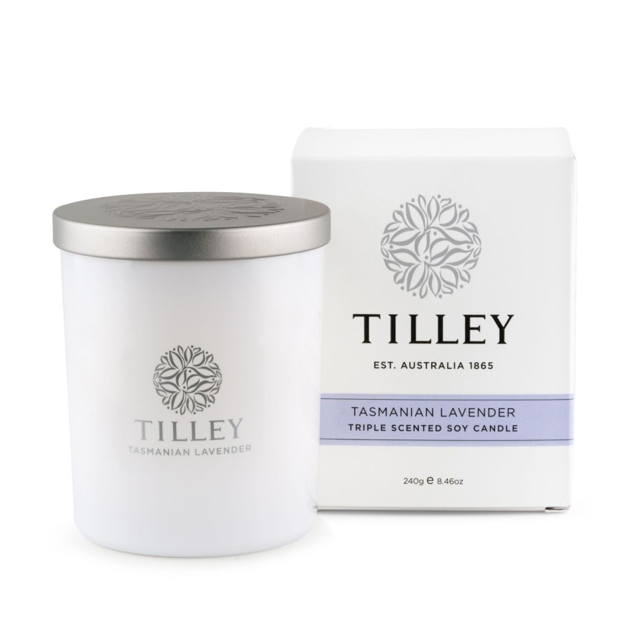 Candles & Fragrance | Tilley Soy Candle 240G / 45 Hour - Asst Fragrance