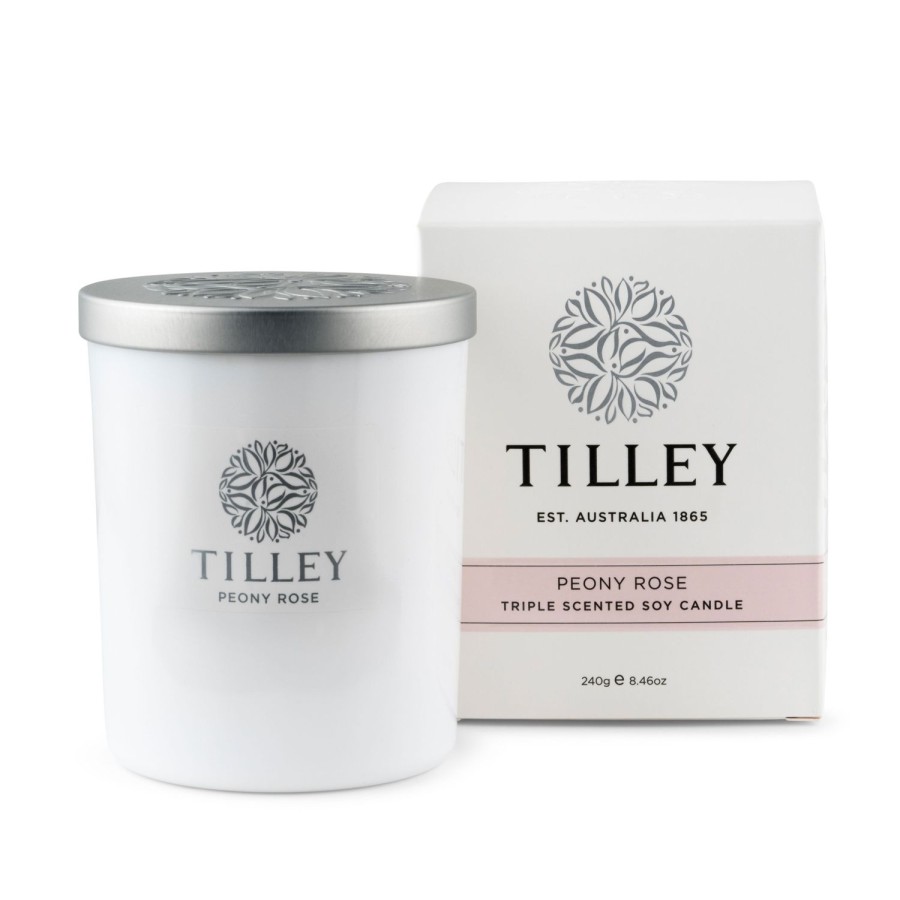 Candles & Fragrance | Tilley Soy Candle 240G / 45 Hour - Asst Fragrance