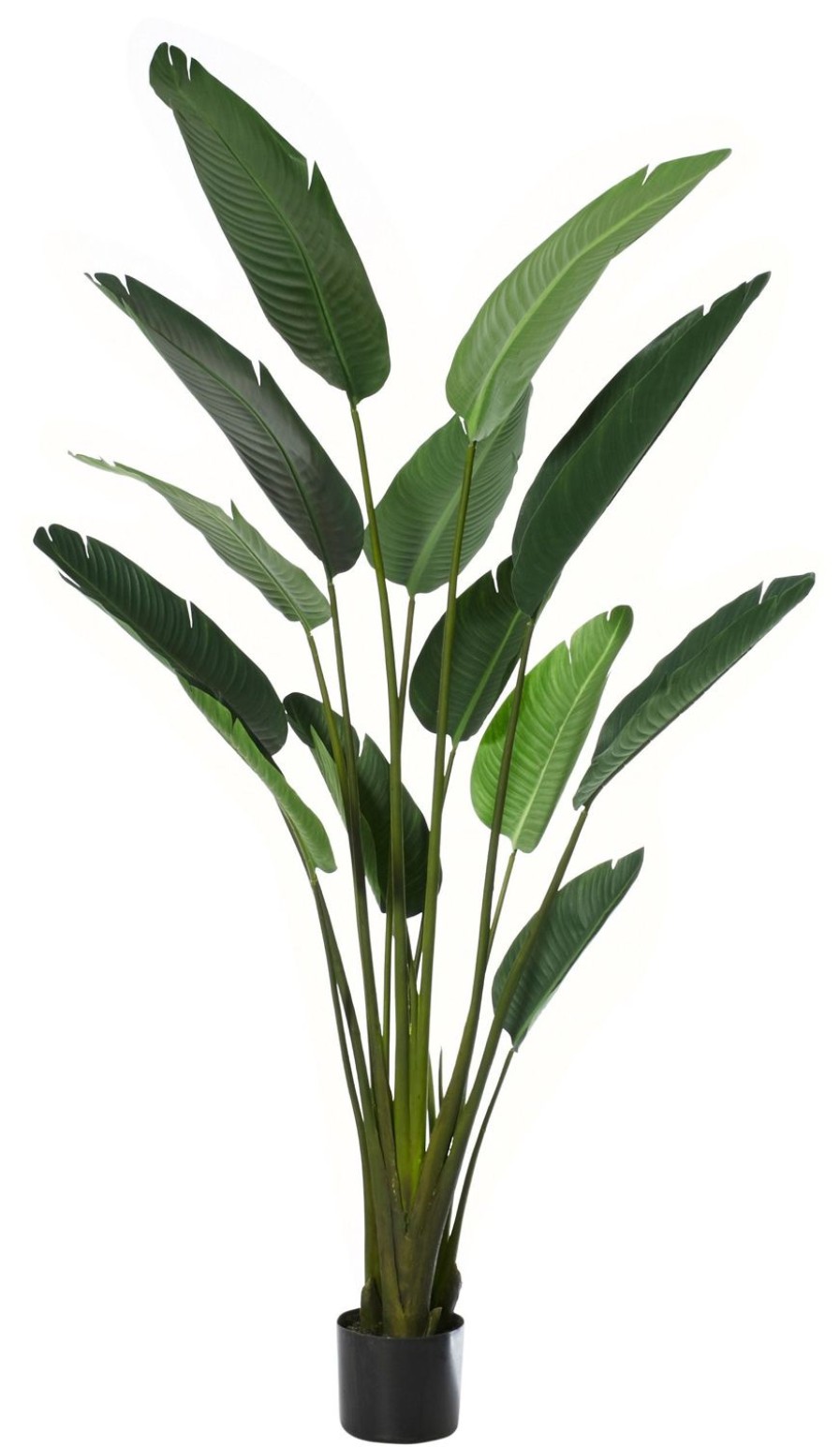 Decor Items | Rogue Home Giant Bird Of Paradise Plant 183Cm