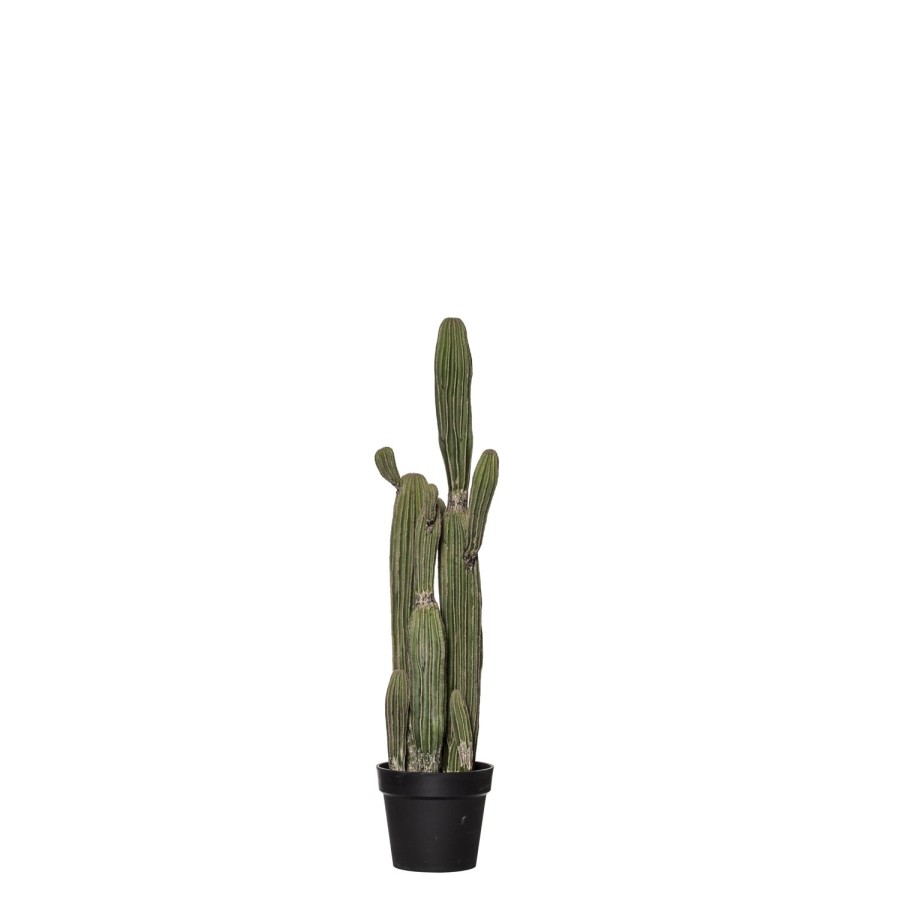 Decor Items | Rogue Home Saguaro Cactus Garden Pot 91Cm