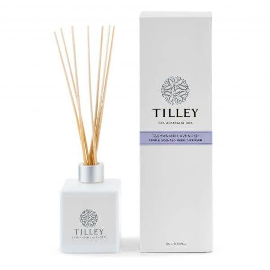 Candles & Fragrance | Tilley Aromatic Reed Diffuser 150Ml - Asst Fragrance