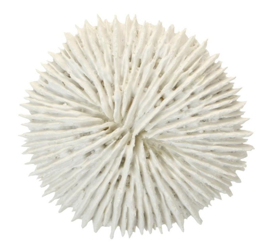 Decor Items | Coast To Coast Home White Poly Fungia Coral