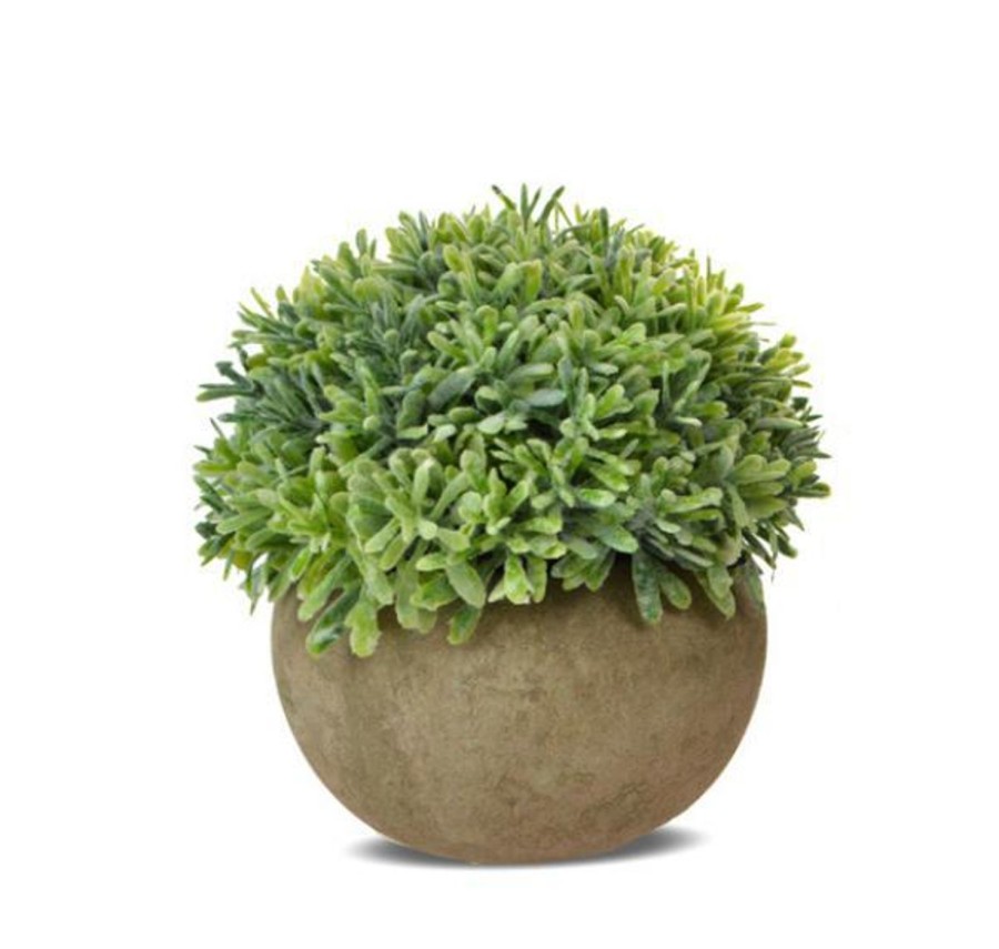 Decor Items | Coast To Coast Home Foliage In Round Pot